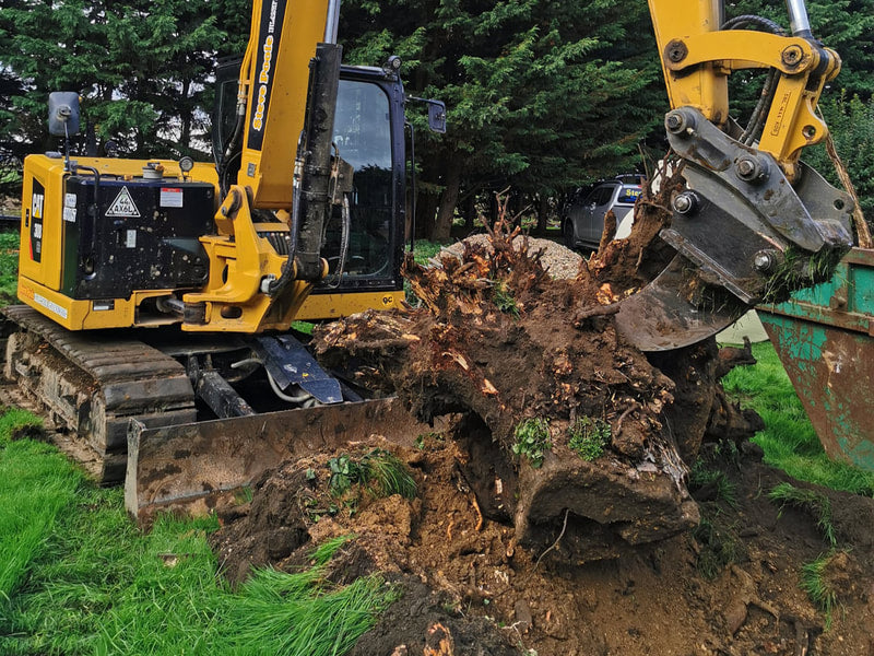 Ripper Tooth with Heavy Duty Hardox® shank for 6 to 9 tonne midi excavators