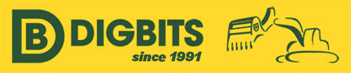 DIGBITS Limited
