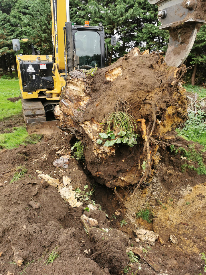 Heavy Duty Ripper Teeth – DIGBITS Limited