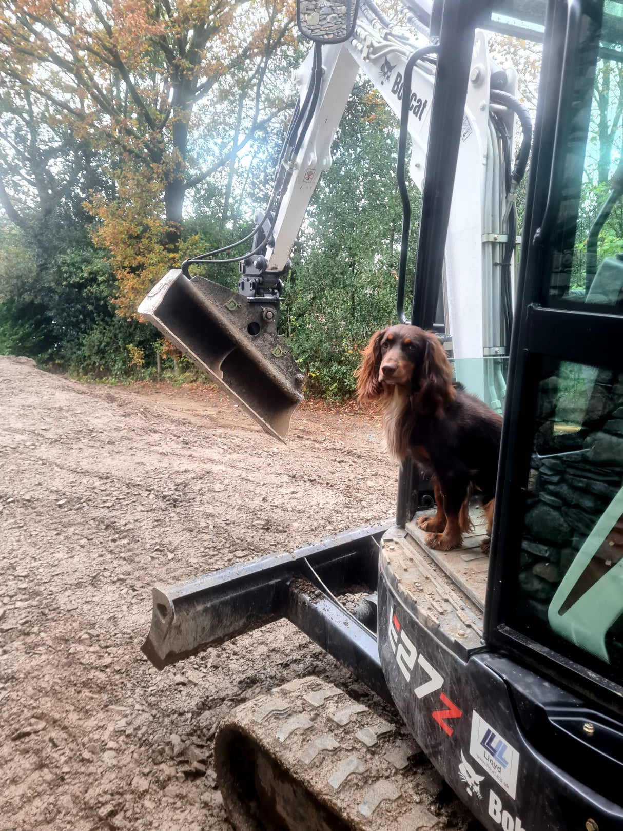 48" / 1.2m Tilt Ditcher for 2.0 to 3.2 tonne mini excavators