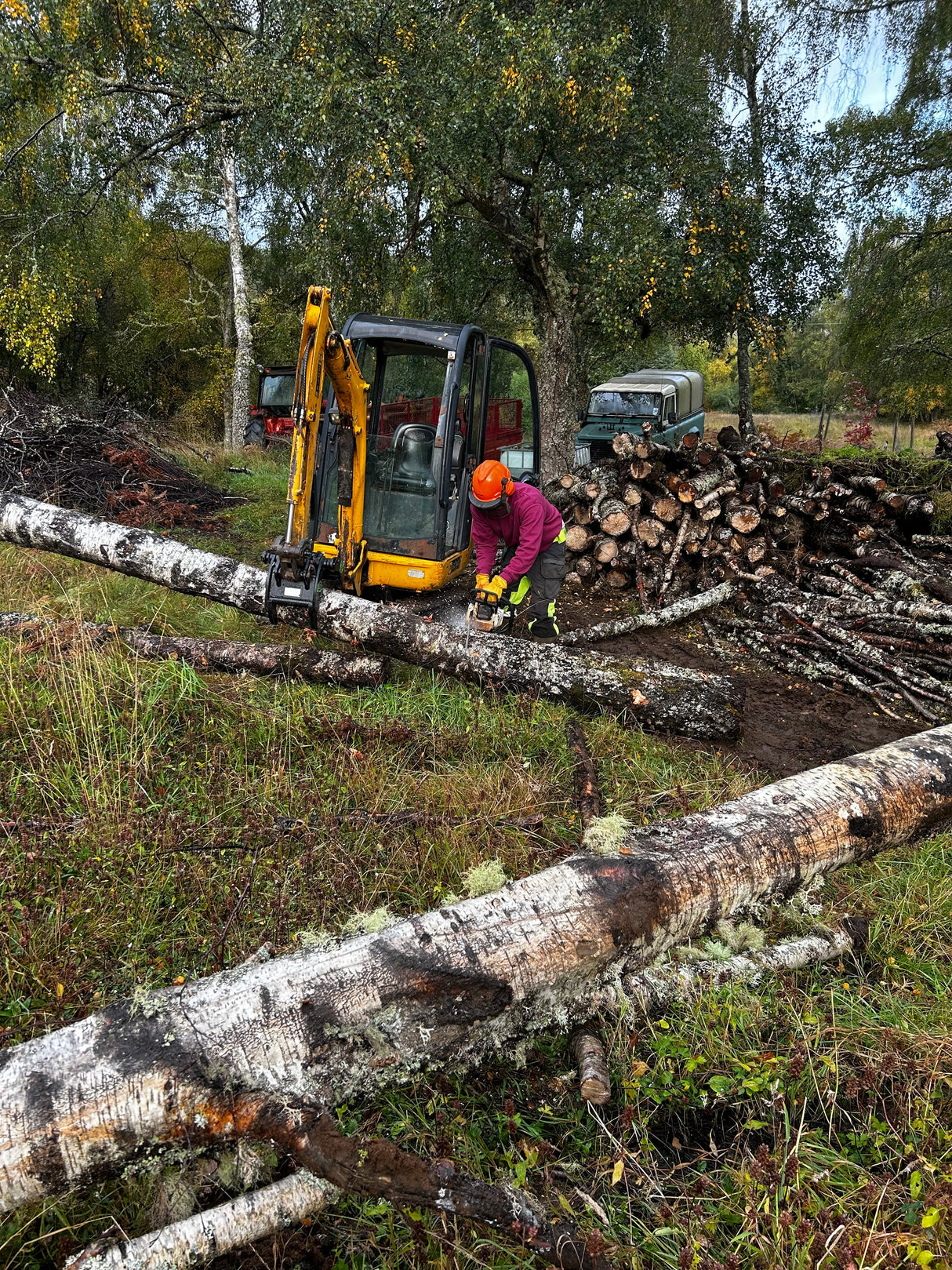 JCB 8018 Grapple with solid Hardox® tines for 1.0 to 1.9 tonne mini excavators