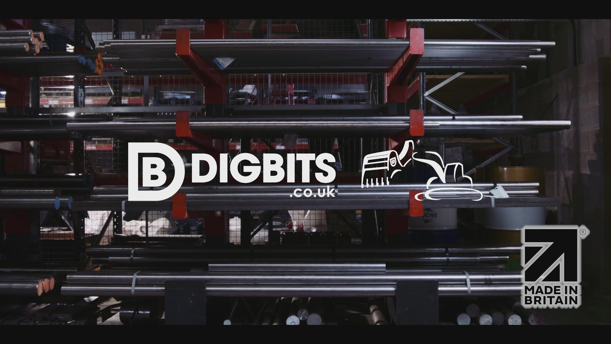 DIGBITS Limited